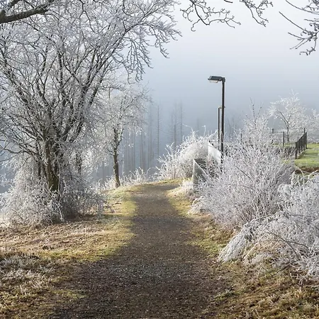 Panoramablick 11 - Im Harz Sankt Andreasberg